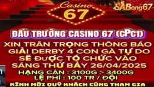 GIẢI ĐÁ GÀ BỒ GÀ CPC1 26/4/2025