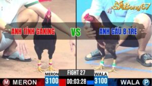 TRẬN 27 CPC3 25/05/2025