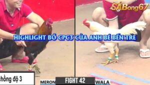 3 TRẬN CHỒNG ĐỘ CPC3 29/7/2025