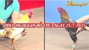 3 TRẬN THẮNG NHẬN 2000 USD CPC3 25/7/2025