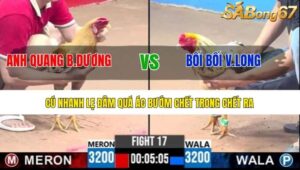 TRẬN 17 CPC3 8/7/2025