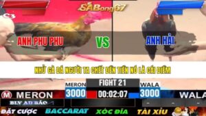 TRẬN 21 CPC3 12/7/2025