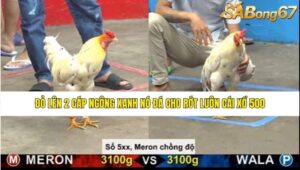 TRẬN 20 CPC5 NGÀY 22/8/2025