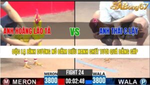 TRẬN 24 CPC3 6/8/2025