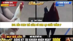 TRẬN 30 BỒ TONHON 13/8/2025