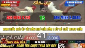 TRẬN 41 BỒ TONHON 27/8/2025