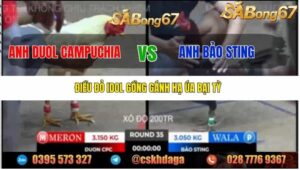 TRẬN 35 BỒ TONHON 12/9/2025