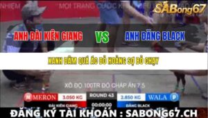 TRẬN 43 BỒ TONHON 12/9/2025