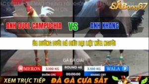 TRẬN 46 BỒ TONHON 12/9/2025