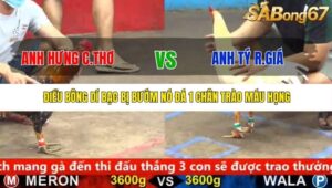 TRẬN 11 CPC5 25/9/2025