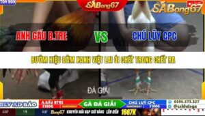 TRẬN 23 TONHON 27/9/2025