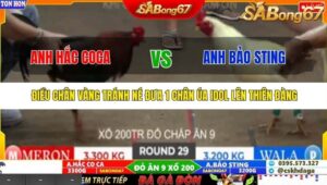 TRẬN 29 TONHON 27/9/2025