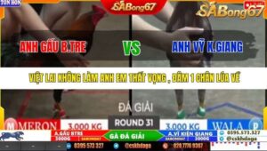 TRẬN 31 TONHON 27/9/2025