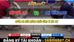 TRẬN 32 BỒ TONHON 12/9/2025