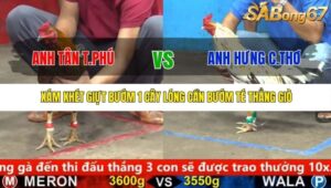 TRẬN 38 CPC5 25/9/2025