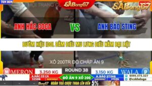 TRẬN 38 TONHON 27/9/2025