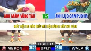 TRẬN 13 CPC3 18/10/2025