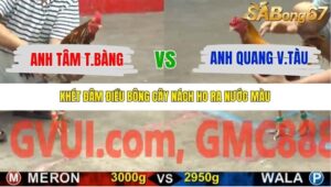 TRẬN 32 CPC5 22/10/2025