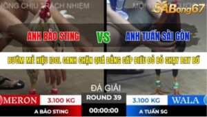 TRẬN 39 TONHON 10/10/2025