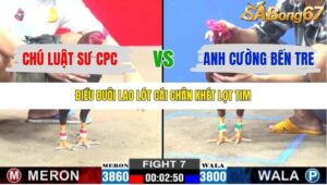 TRẬN 7 CPC3 18/10/2025