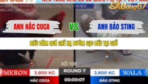 TRẬN 7 TONHON 18/10/2025