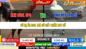 TRẬN 11 TONHON 10/10/2025