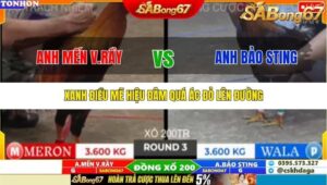 TRẬN 3 TONHON 10/10/2025