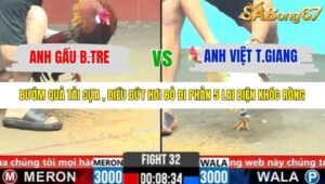 TRẬN 32 CPC6 29/10/2025