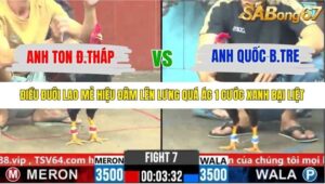 TRẬN 7 CPC6 29/10/2025