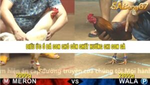 TRẬN 10 CPC4 23/11/2025