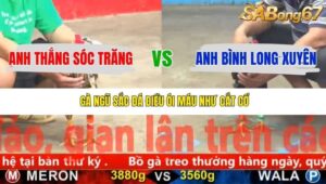 TRẬN 11 CPC5 23/11/2025