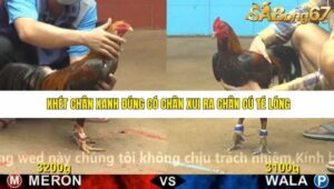 TRẬN 17 CPC4 22/11/2025