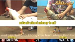 TRẬN 18 CPC4 22/11/2025