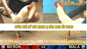 TRẬN 19 CPC4 22/11/2025