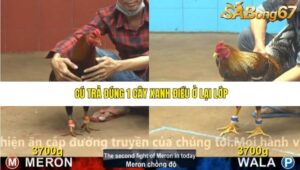 TRẬN 19 CPC4 23/11/2025