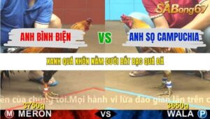 TRẬN 2 CPC4 7/11/2025