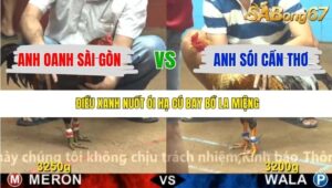 TRẬN 21 CPC4 22/11/2025