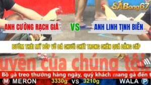 TRẬN 21 CPC5 22/11/2025