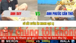 TRẬN 22 CPC5 22/11/2025