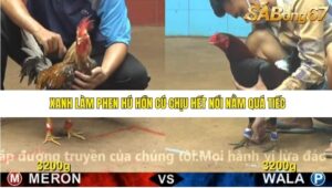 TRẬN 24 CPC4 22/11/2025