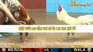 TRẬN 24 CPC4 23/11/2025