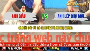 TRẬN 24 CPC5 22/11/2025