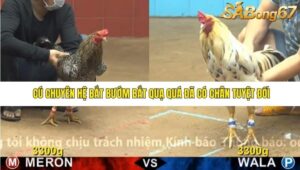 TRẬN 27 CPC4 23/11/2025