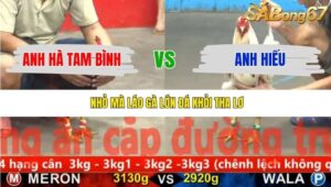 TRẬN 28 CPC5 23/11/2025