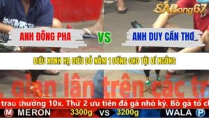 TRẬN 29 CPC5 6/11/2025