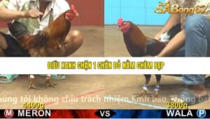 TRẬN 3 CPC4 23/11/2025