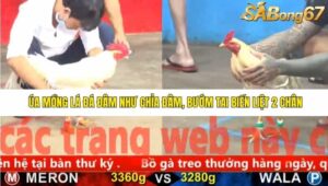 TRẬN 3 CPC5 23/11/2025