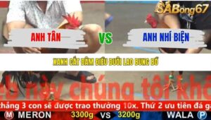 TRẬN 30 CPC5 6/11/2025