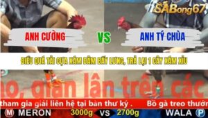 TRẬN 32 CPC5 6/11/2025