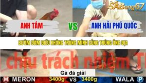 TRẬN 34 CPC5 6/11/2025